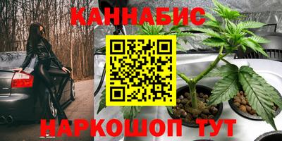 каннабис Гатчина