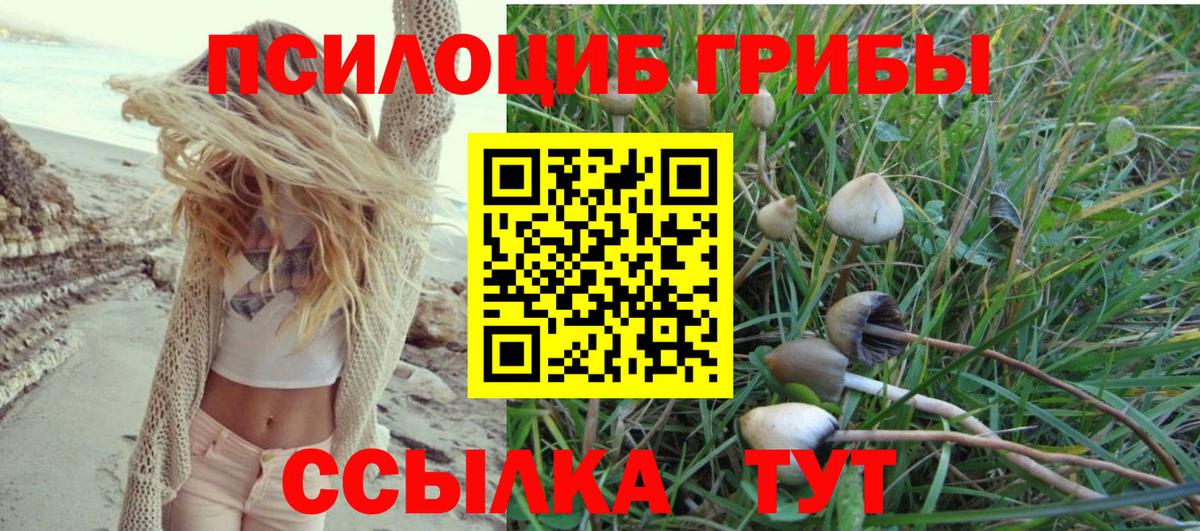 Псилоцибиновые грибы Magic Shrooms  Галлюциногенные грибы прущие грибы  купить   Вход с VPN  Набережные Челны 